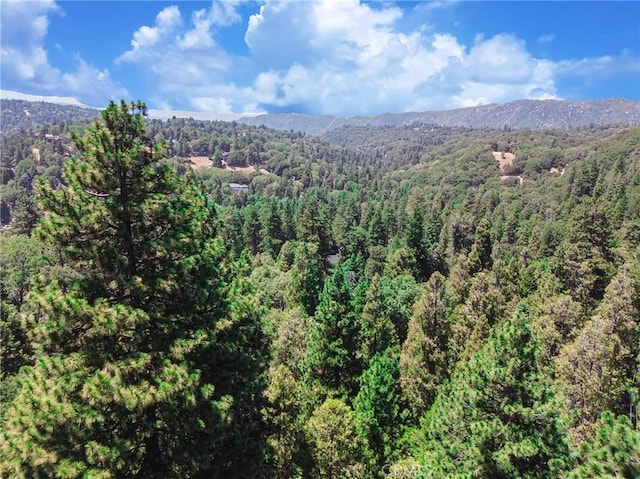 590 Electra Dr, Crestline, CA 92325 - photo 19