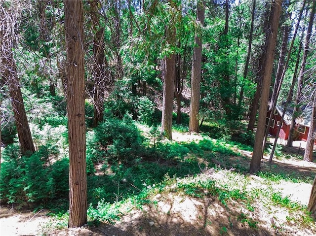 590 Electra Dr, Crestline, CA 92325 - photo 7