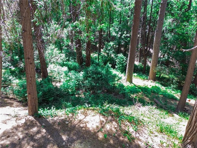 590 Electra Dr, Crestline, CA 92325 - photo 9