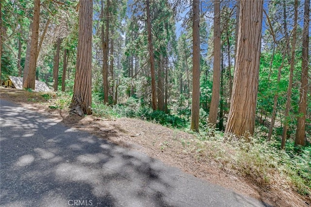 590 Electra Dr, Crestline, CA 92325 - photo 4