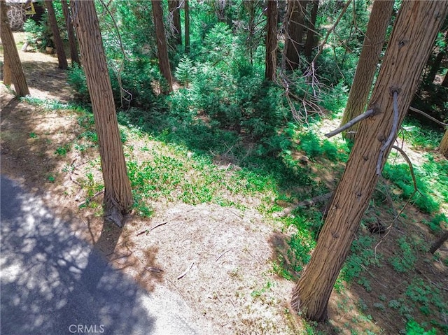 590 Electra Dr, Crestline, CA 92325 - photo 13