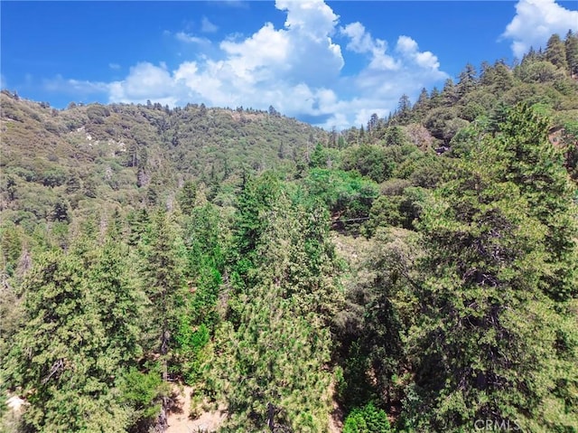 590 Electra Dr, Crestline, CA 92325 - photo 20
