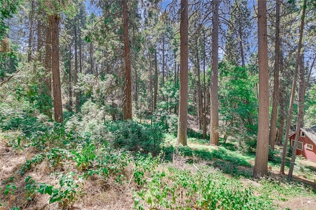 590 Electra Dr, Crestline, CA 92325 - photo 3