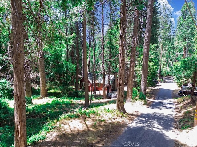 590 Electra Dr, Crestline, CA 92325 - photo 15