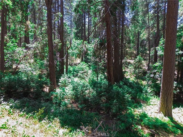 590 Electra Dr, Crestline, CA 92325 - photo 12