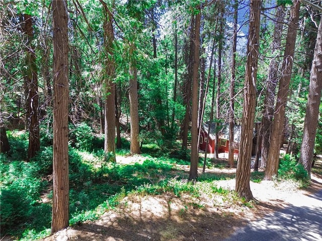 590 Electra Dr, Crestline, CA 92325 - photo 16