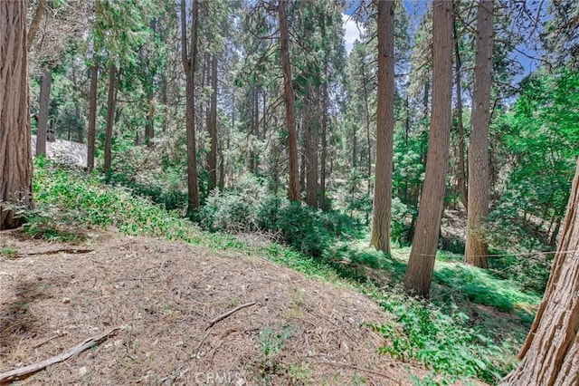 590 Electra Dr, Crestline, CA 92325 - photo 5