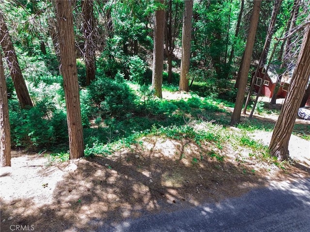 590 Electra Dr, Crestline, CA 92325 - photo 8