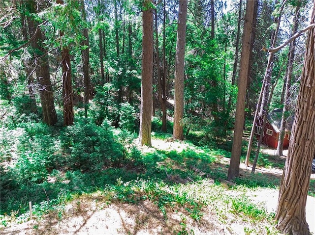 590 Electra Dr, Crestline, CA 92325 - photo 23