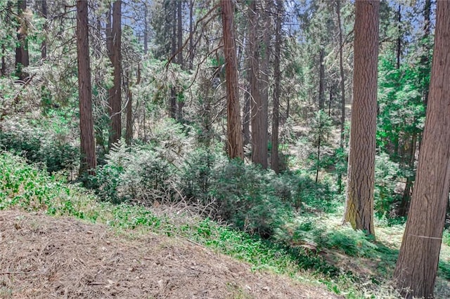 590 Electra Dr, Crestline, CA 92325 - photo 6