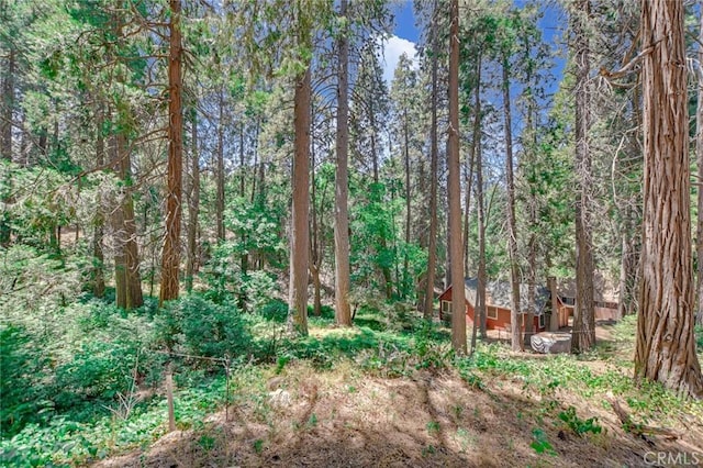 590 Electra Dr, Crestline, CA 92325 - photo 2