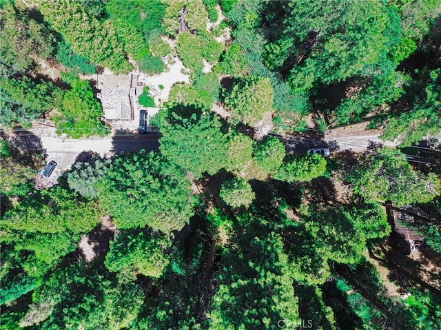 590 Electra Dr, Crestline, CA 92325 - photo 22