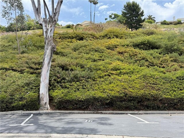 23821 Hillhurst Dr Unit 16, Laguna Niguel, CA 92677 - exterior view of parking