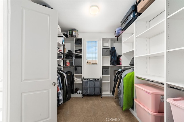 1568 Patterson Ranch Rd, Redlands, CA 92374 - spacious closet featuring carpet floors