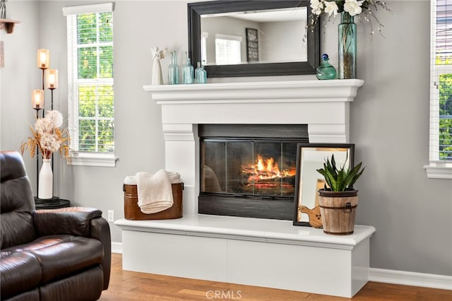 46287 Durango Dr, Temecula, CA 92592 - detailed view of wood finished floors and a glass covered fireplace
