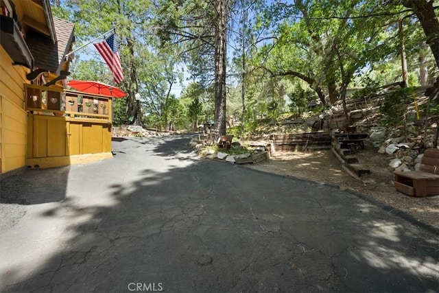 33019 Juniper Ln, Green Valley Lake, CA 92341 - view of asphalt driveway