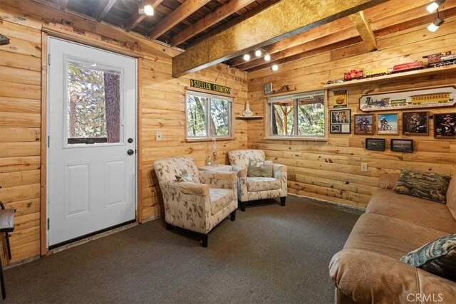 33019 Juniper Ln, Green Valley Lake, CA 92341 - living area featuring carpet, a wood ceiling with exposed beams, and wooden walls