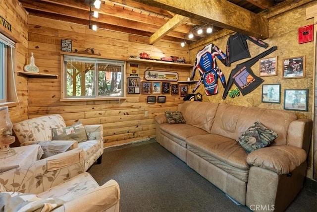 33019 Juniper Ln, Green Valley Lake, CA 92341 - living room with wooden walls, carpet floors, and a wooden ceiling with exposed beams