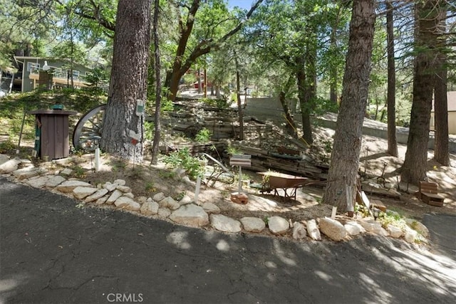33019 Juniper Ln, Green Valley Lake, CA 92341 - view of yard
