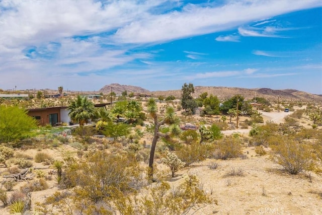 1234 Brown Dr, Yucca Valley, CA 92284 - photo 16