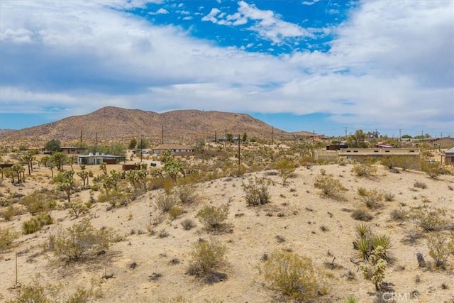 1234 Brown Dr, Yucca Valley, CA 92284 - photo 24