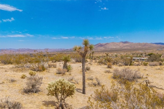 1234 Brown Dr, Yucca Valley, CA 92284 - photo 1