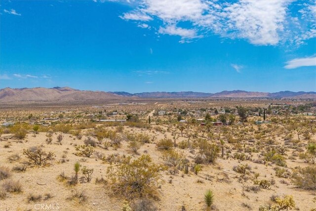 1234 Brown Dr, Yucca Valley, CA 92284 - photo 9