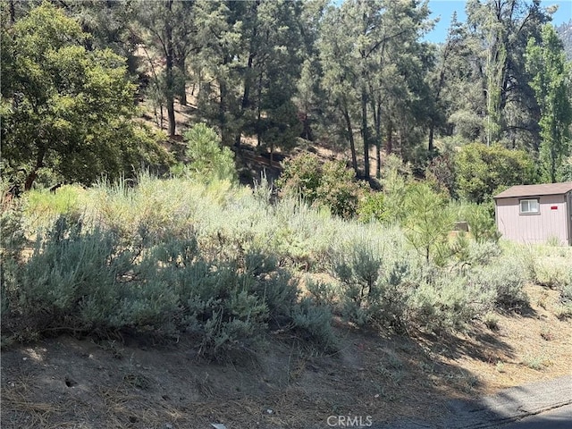 2221 Symonds Dr, Pine Mountain Club, CA 93222 - photo 2