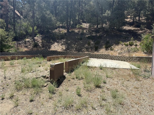 2221 Symonds Dr, Pine Mountain Club, CA 93222 - photo 5