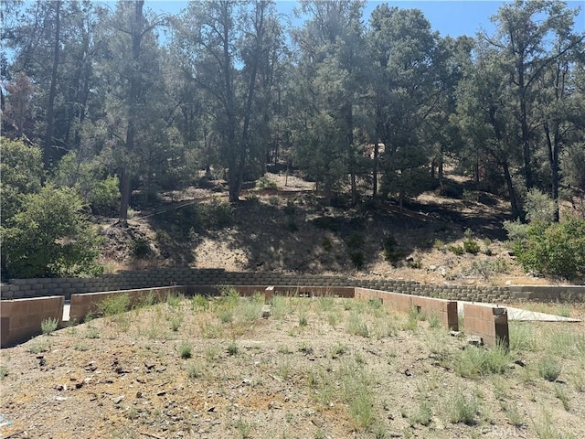 2221 Symonds Dr, Pine Mountain Club, CA 93222 - photo 4