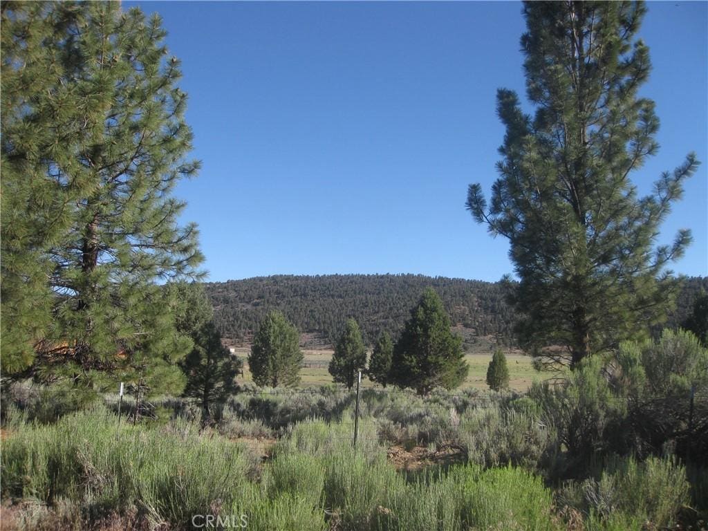 2805 Cedar Ln, Big Bear City, CA 92314 - photo 2