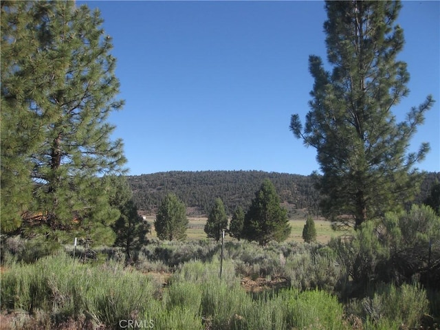 2805 Cedar Ln, Big Bear City, CA 92314 - photo 2