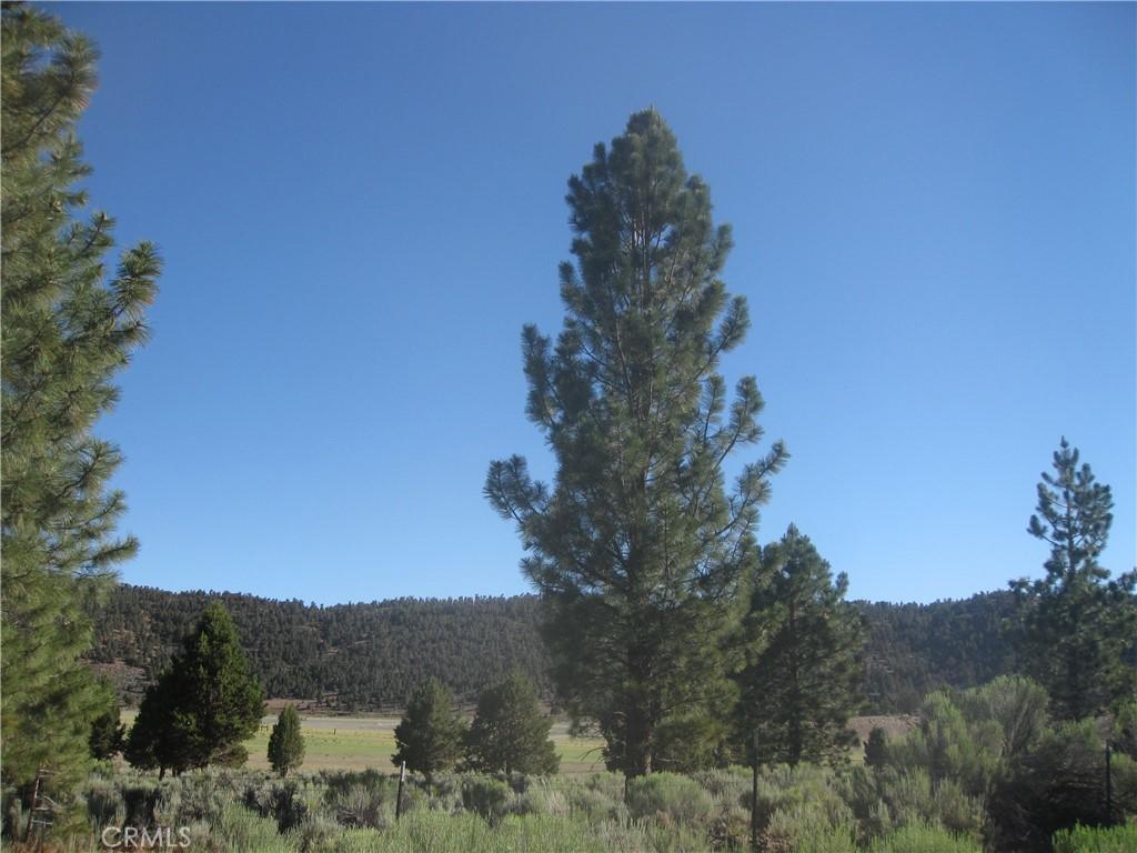 2805 Cedar Ln, Big Bear City, CA 92314 - photo 1