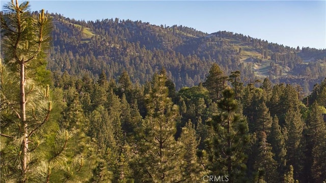 43811 Canyon Crest Dr, Big Bear Lake, CA 92315 - photo 4