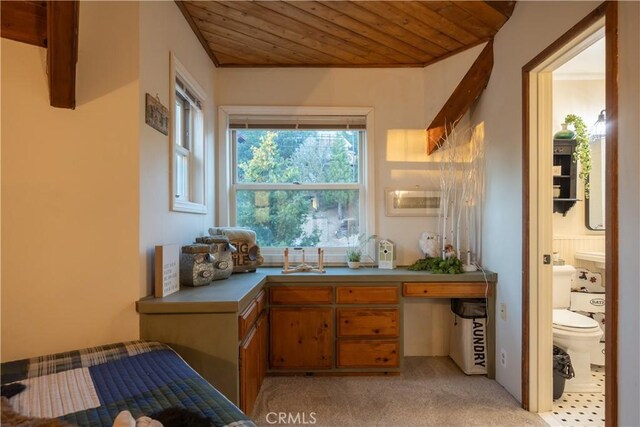 43811 Canyon Crest Dr, Big Bear Lake, CA 92315 - photo 29