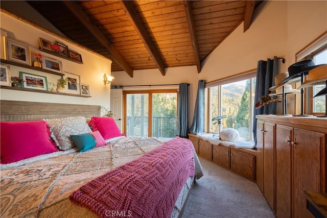 43811 Canyon Crest Dr, Big Bear Lake, CA 92315 - photo 21