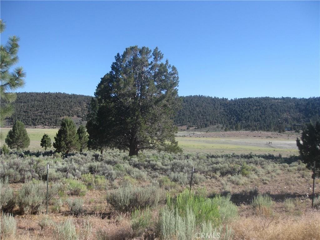 2809 Cedar Ln, Big Bear City, CA 92314 - photo 2
