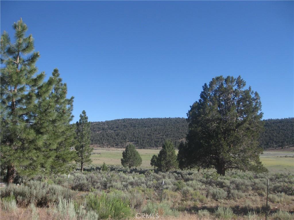 2809 Cedar Ln, Big Bear City, CA 92314 - photo 3