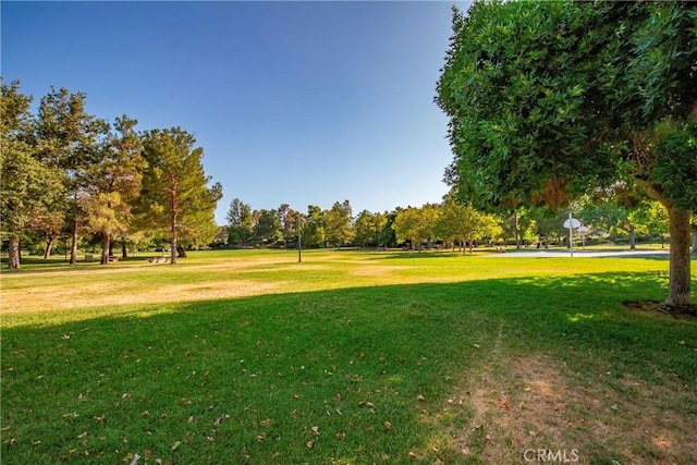26053 Manzano Ct, Valencia, CA 91355 - photo 47