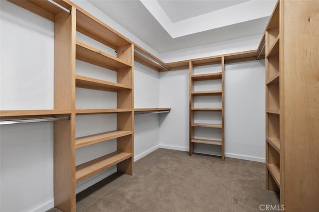 5390 Carlsbad Blvd, Carlsbad, CA 92008 - spacious closet featuring carpet