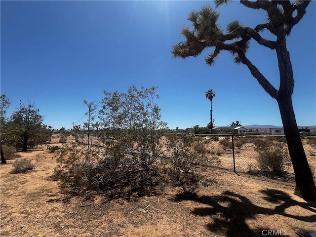 1489 Balsa Ave, Yucca Valley, CA 92284 - view of yard