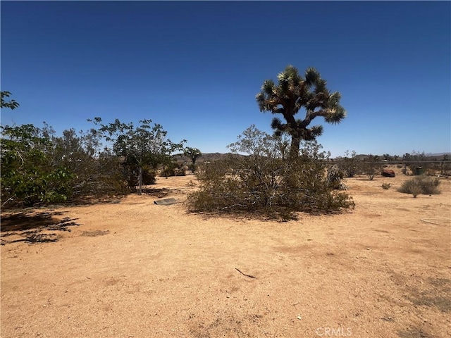 1489 Balsa Ave, Yucca Valley, CA 92284 - view of nature featuring rural landscape