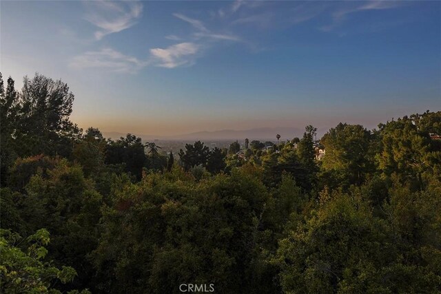 3700 Koster Ave, Sherman Oaks, CA 91423 - view of woods