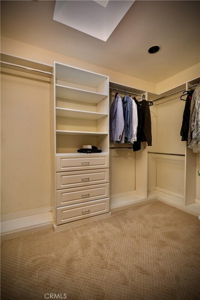 3700 Koster Ave, Sherman Oaks, CA 91423 - walk in closet with carpet