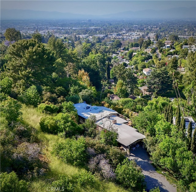 3700 Koster Ave, Sherman Oaks, CA 91423 - aerial view of a forest