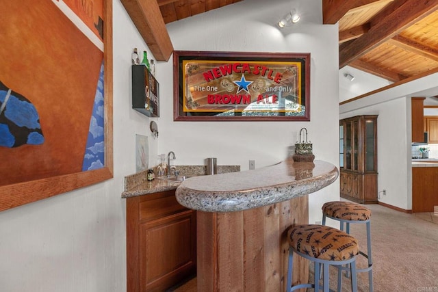 46920 Rainbow Canyon Rd, Temecula, CA 92592 - indoor wet bar featuring wooden ceiling and carpet