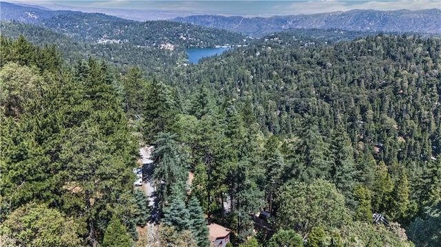 25108 Grand View Dr, Crestline, CA 92325 - photo 23