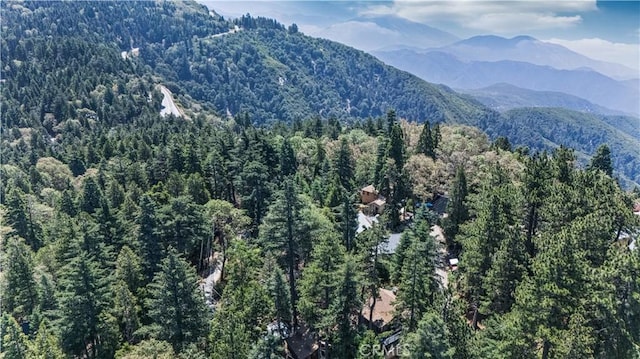 25108 Grand View Dr, Crestline, CA 92325 - photo 21