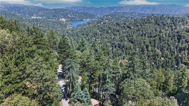25108 Grand View Dr, Crestline, CA 92325 - photo 24