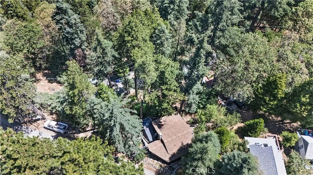 25108 Grand View Dr, Crestline, CA 92325 - photo 22